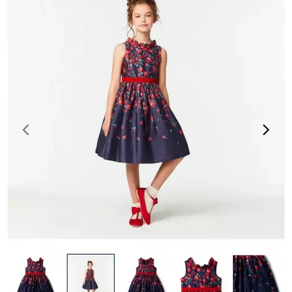 Janie and Jack X American girl doll red roses dress - Picture 5 of 12